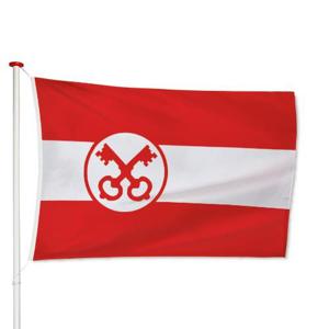 Vlag Leiden