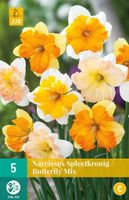 Narcis spleetkronige mix 5 bollen