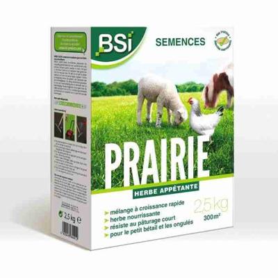 BSI - Graszaad - Weide - Hoge kwaliteit - Grote oppervlakte - Tot 375m² - 7,5 kg