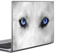 Sticker laptop ogen wolf