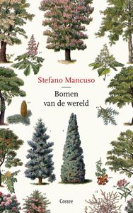 Bomen van de wereld - Stefano Mancuso - ebook