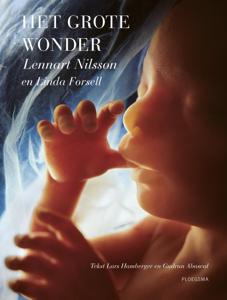 Het grote wonder (Hardback)