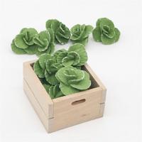 5 stuks 1:12 Mini huis Toy plantaardige simulatie kool keuken accessoire mini huis speelgoed (groen)