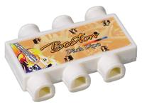 Boston BPP-6 stemfluit voor gitaar