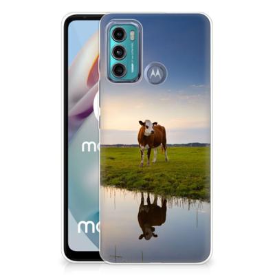 Motorola Moto G60 | TPU Hoesje | Koe