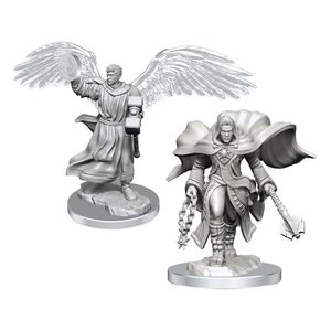 D&D Nolzur's Marvelous Miniatures Unpainted Miniatures 2-Pack Aasimar Cleric Male