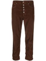 DONDUP pantalon en velours côtelé à coupe courte - Marron