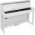 Medeli DP650K White digitale piano