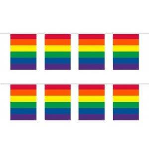 Regenboog vlaggenlijn - 2x - 10 meter - plastic - vierkante vlaggetjes - Gay pride versiering