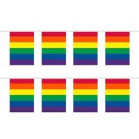 Regenboog vlaggenlijn - 2x - 10 meter - plastic - vierkante vlaggetjes - Gay pride versiering