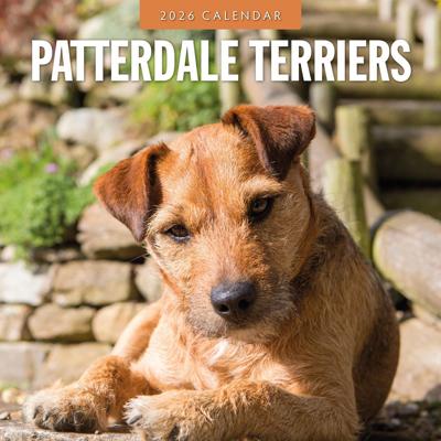 Patterdale Terrier Kalender 2026