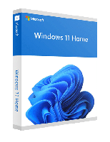 Windows 11 Home - thumbnail