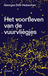 Het voortleven van de vuurvliegjes (Paperback)