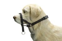 Beeztees dog control - halsband hond - zwart - s