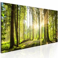 Schilderij - Daglicht, Bruin/Groen, 1luik , premium print op canvas - thumbnail