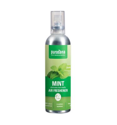 Frishi luchtverfrisser mint