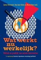 Wat werkt nu werkelijk? (Paperback)