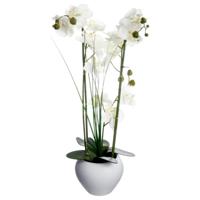 Orchidee bloemen kunstplant in witte bloempot - witte bloemen - H53 cm - thumbnail