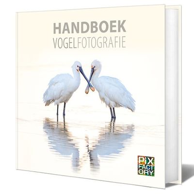 Handboek Vogelfotografie