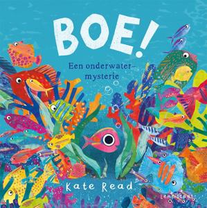 Boe! (Hardback)