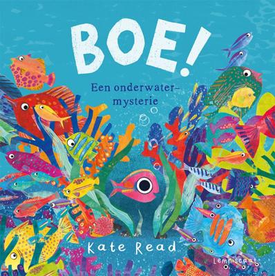 Boe! (Hardback)