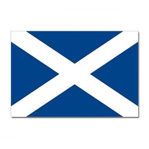 Landen thema vlag Schotland 90 x 150 cm feestversiering