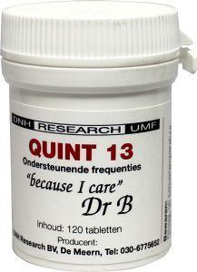 DNH Quint 13