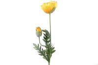 Decostar Papaver jodie 75 cm geel
