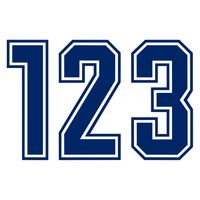 Keyline Style Navy Flock Numbers