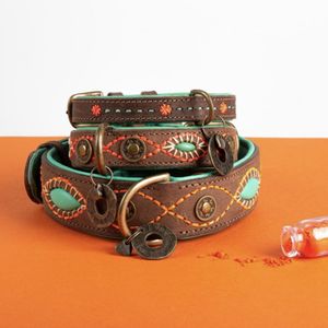 DWAM Joplin Bruin, Oranje, Turkoois Leer XS Hond Standaard halsband