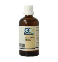 Castanea vesca bio
