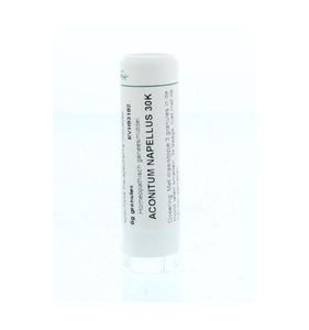 Aconitum napellus 30K