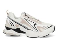 Steve Madden Speedster-E off white stone Wit maat 42