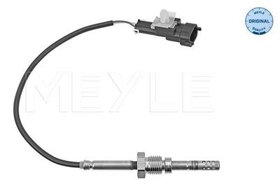 Sensor, uitlaatgastemperatuur 6148000086