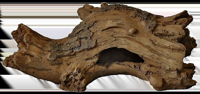 Superfish Forest Deco Wood Log hout small