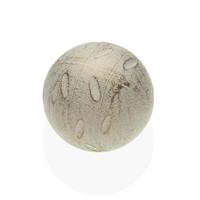 Decoratieve figuren Versa Wit