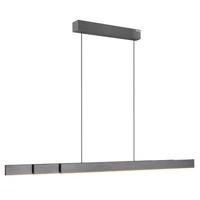 Paul Neuhaus Hanglamp PURE MOTO-RISE e-Slide & e-Lift Grey LED incl.