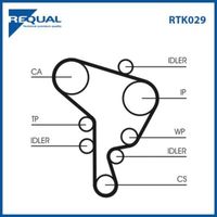 Requal Distributieriem kit RTK029 - thumbnail