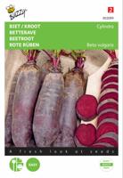 Bieten Cylindra, Halflange - Buzzy
