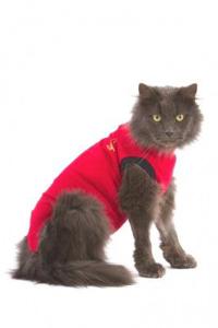 Medical Pet Shirt Kat Rood XS
