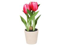 LIVARNO Kunsttulpen in pot (Lichtroze)