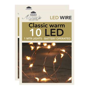 Draadverlichting lichtsnoeren - 2x st - koper- 10 leds - warm wit - 100 cm