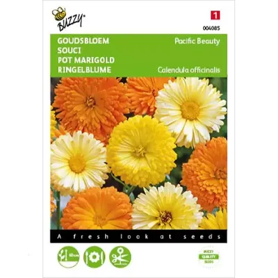 Calendula, Goudbloem Pacific Beauty gemengd