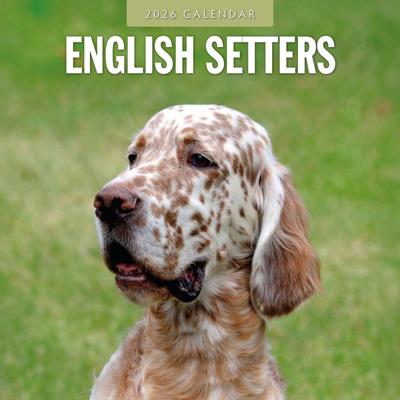 Engelse Setter Kalender 2026