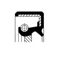 Keerring, automatische transmissie 19026202B