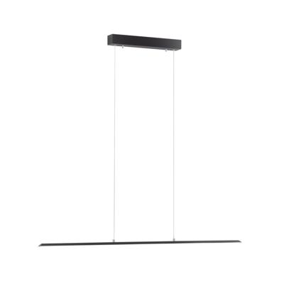 Paul Neuhaus Design hanglampPure Lite 100cm antraciet - 8375-13