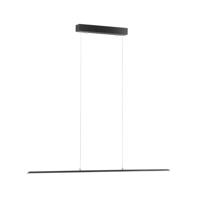 Paul Neuhaus Design hanglampPure Lite 100cm antraciet - 8375-13