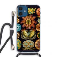 Haeckel Ascidiae: iPhone 12 mini Transparant Hoesje met koord