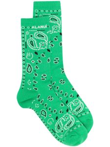 Alanui chaussettes à motif cachemire en jacquard - Vert