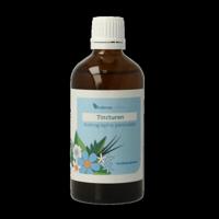 Balancepharma Andrographis paniculata tincturen 100 Milliliter